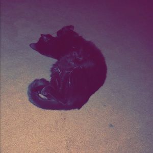 Meet your Posher, Asia